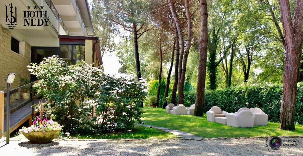 Hotel Nedy Marina di Massa Zewnętrze zdjęcie