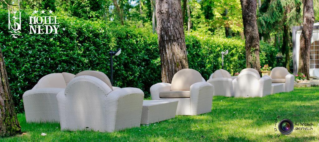 Hotel Nedy Marina di Massa Zewnętrze zdjęcie
